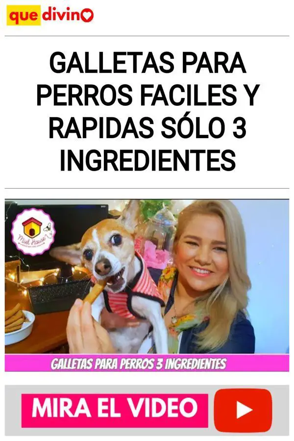 Galletas para perros FACILES y RAPIDAS sólo 3 ingredientes